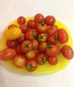 tomato2.JPG
